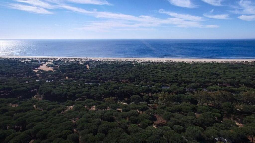 Camping Giralda Hotell Huelva Eksteriør bilde